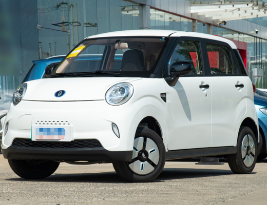 LINGBOX Mini Cars eléctrico 4 seaters con la resistencia de los 205KM que conduce a guardabosques