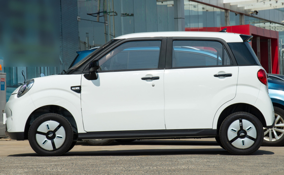 LINGBOX Mini Cars eléctrico 4 seaters con la resistencia de los 205KM que conduce a guardabosques